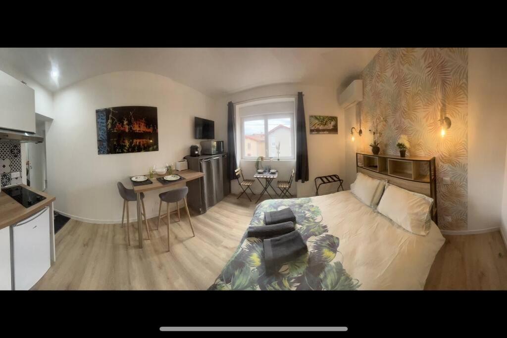 Verdi Studio Cosy Au Calme Parking Gratuit Chasse-sur-Rhône Exterior foto